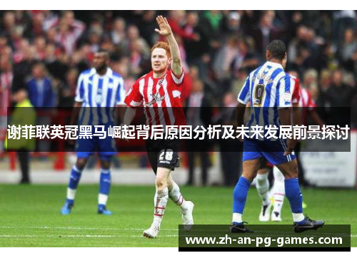 谢菲联英冠黑马崛起背后原因分析及未来发展前景探讨 谢菲联英冠黑马崛起背后原因分析及未来发展前景探讨